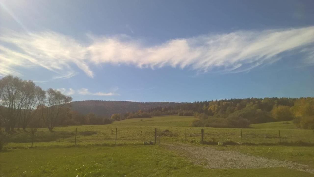 Waszczyszynowka Bieszczady Villa Bandrow Narodowy Kültér fotó