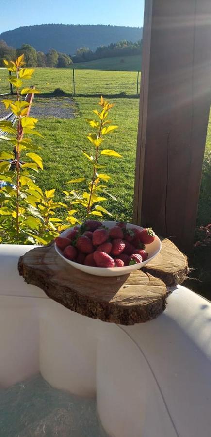Waszczyszynowka Bieszczady Villa Bandrow Narodowy Kültér fotó