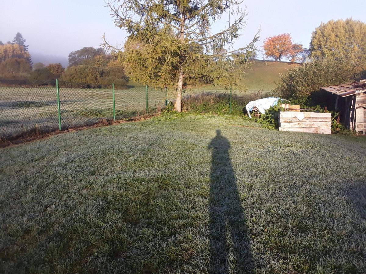 Waszczyszynowka Bieszczady Villa Bandrow Narodowy Kültér fotó