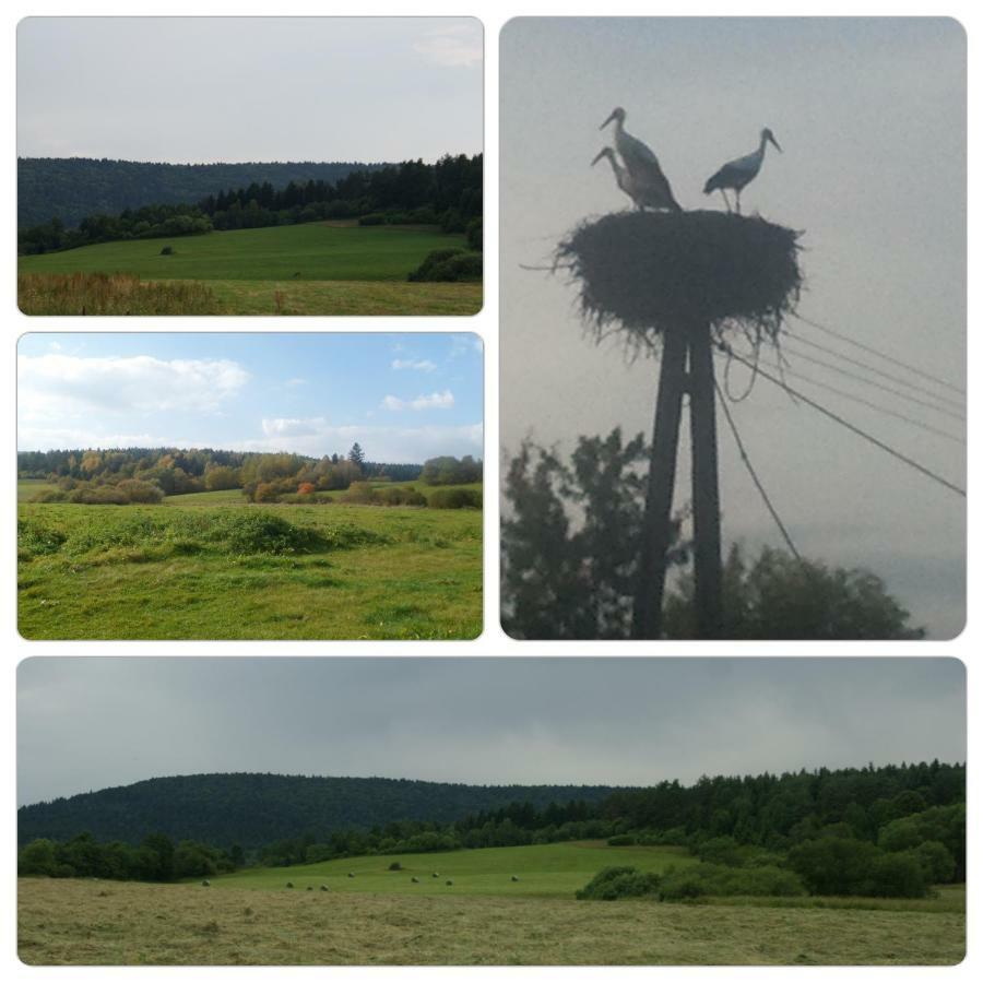 Waszczyszynowka Bieszczady Villa Bandrow Narodowy Kültér fotó